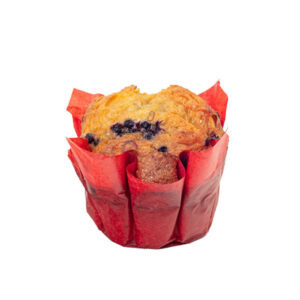 LARGE BLUEBERRY MUFFIN